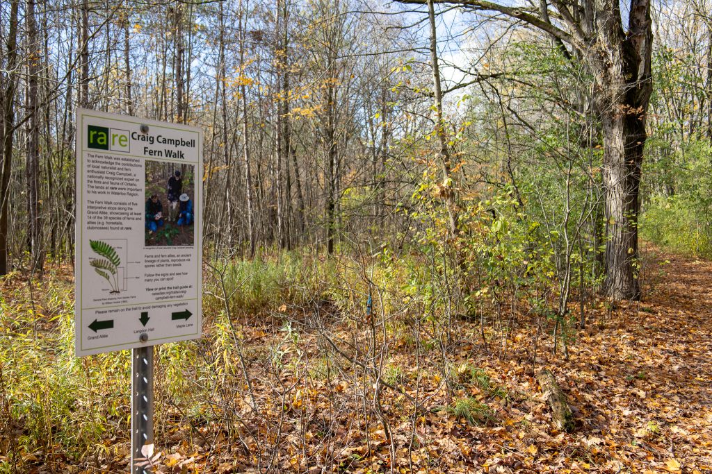sign at the beginning of frest trail reading Craig Campbell fern walk