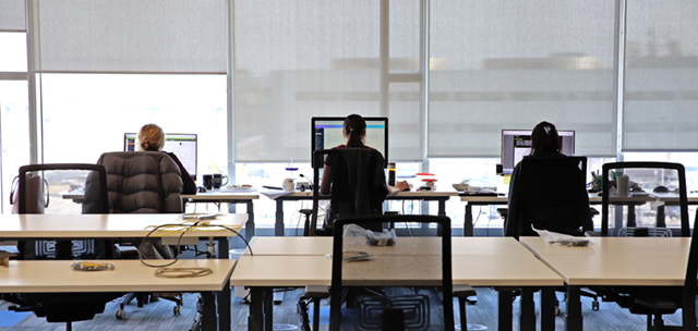 TextNow workers in office, facing away from camera while on laptops